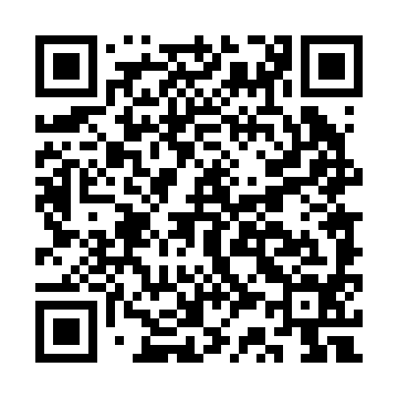 QR code for CS4294