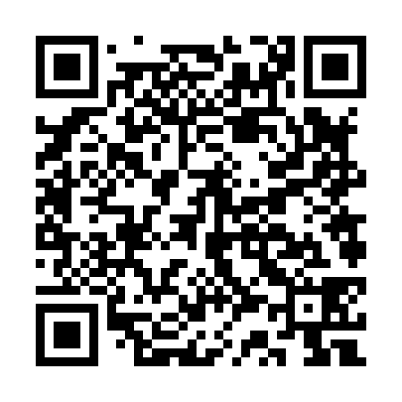 QR code for CS6838