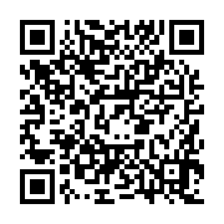 QR code for CT0194