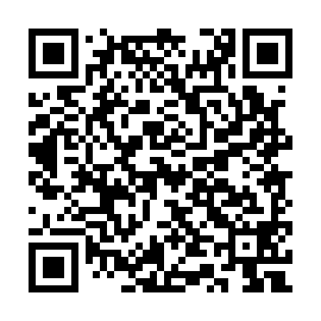 QR code for CT0198