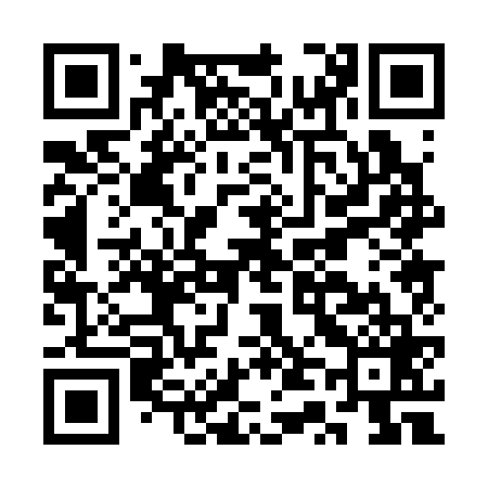 QR code for CT0369