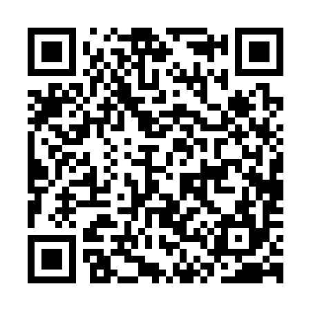 QR code for CT0394