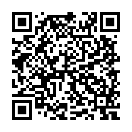 QR code for CT0585