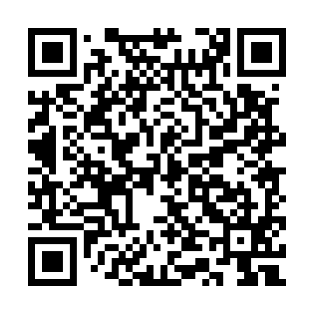 QR code for CT0595
