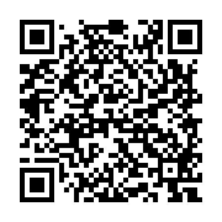 QR code for CT0989