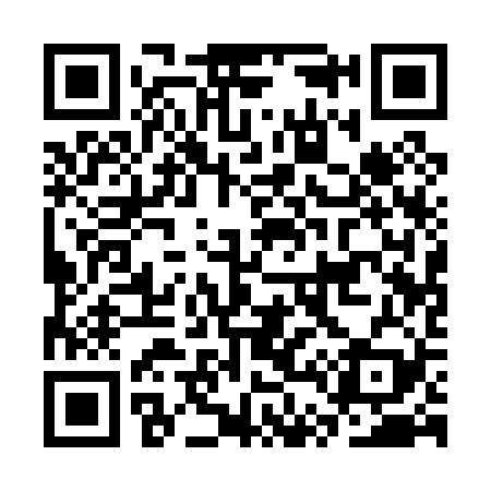 QR code for CT1029