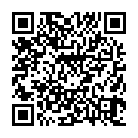 QR code for CT2161