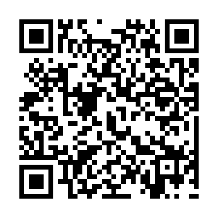 QR code for CT2379