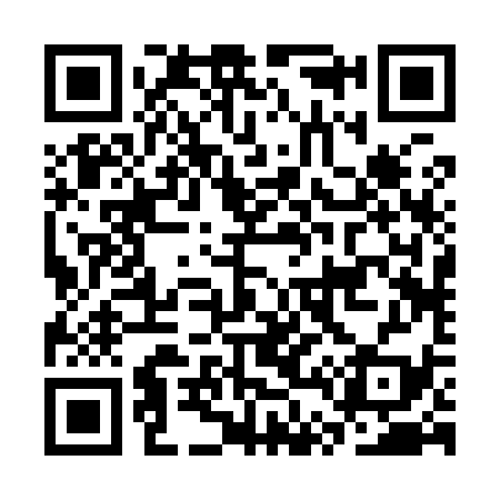 QR code for CT2939