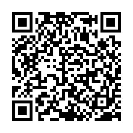 QR code for CT3313