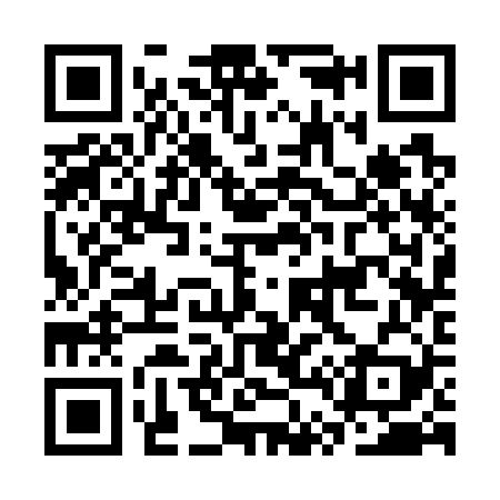 QR code for CT3729