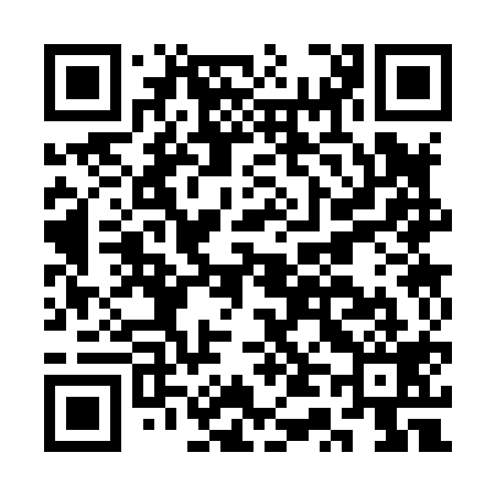 QR code for CT3819