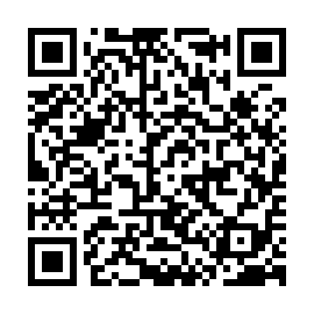 QR code for CT3919