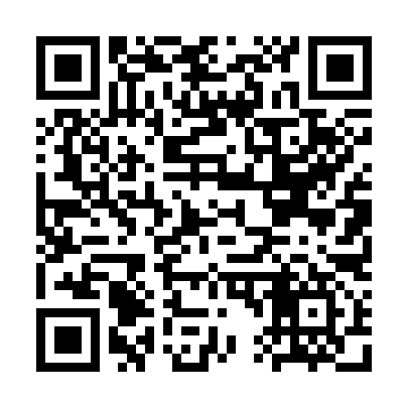 QR code for CT4397