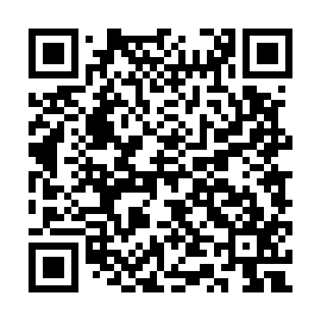 QR code for CT4517