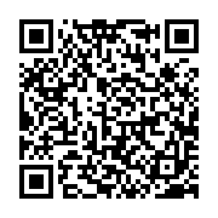 QR code for CT4993