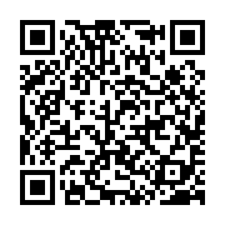 QR code for CT6199