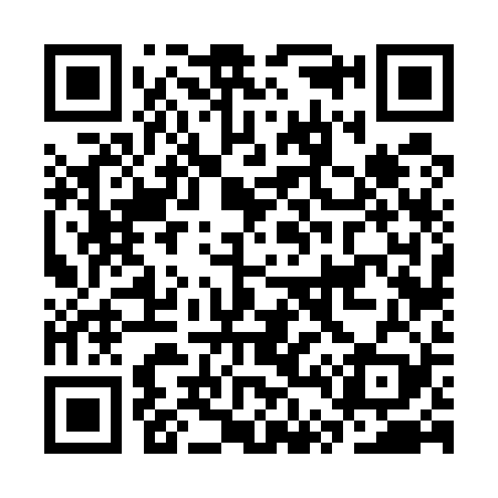 QR code for CT6529
