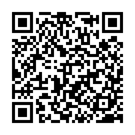 QR code for CT6541
