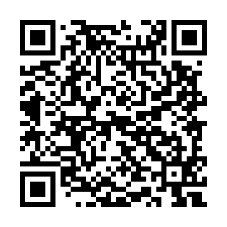 QR code for CT8595