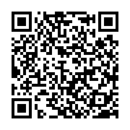 QR code for CT8739