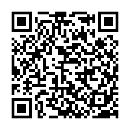QR code for CT9111