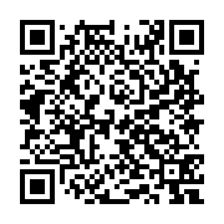 QR code for CT9171