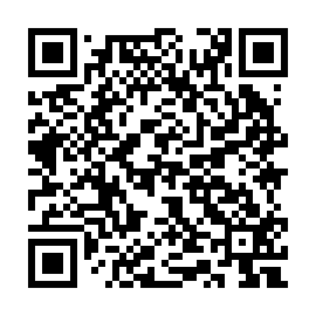 QR code for CT9213