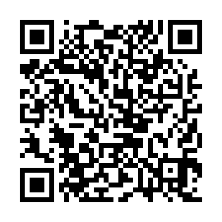 QR code for CV2011