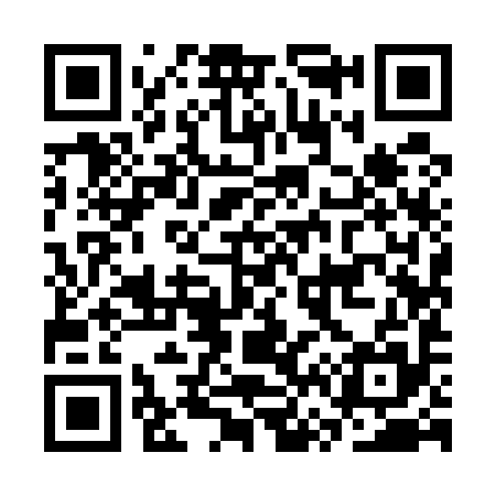 QR code for CV9595
