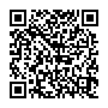 QR code for CX6333