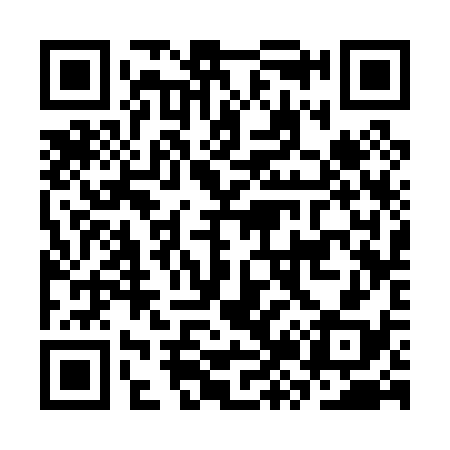 QR code for CZ3038