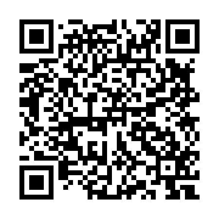 QR code for CZ3817