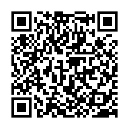 QR code for CZ3939
