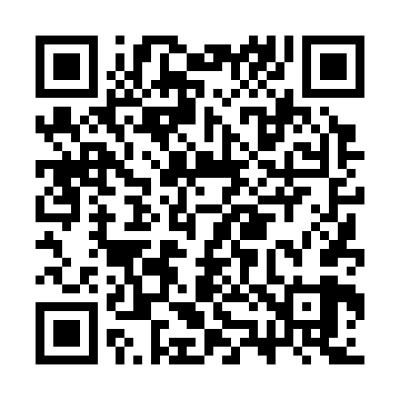 QR code for CZ4369