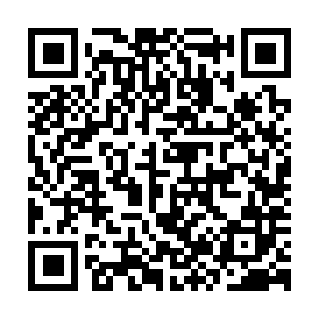 QR code for CZ6382