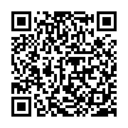 QR code for CZ7991