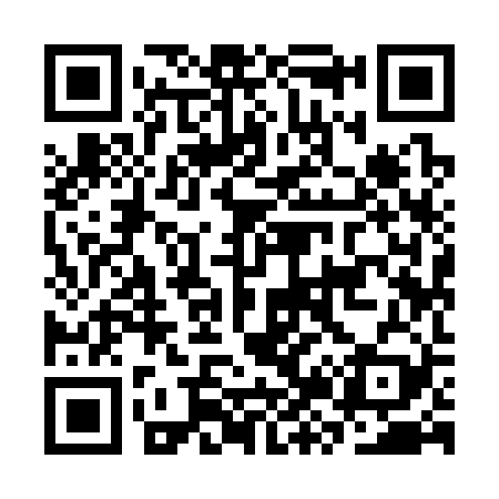 QR code for CZ9329