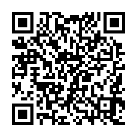 QR code for CZ9393