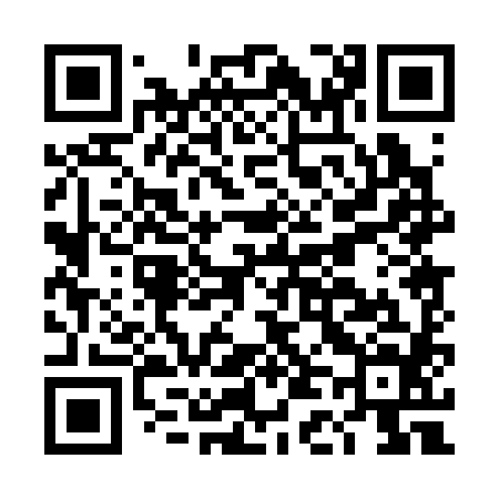 QR code for DD0384