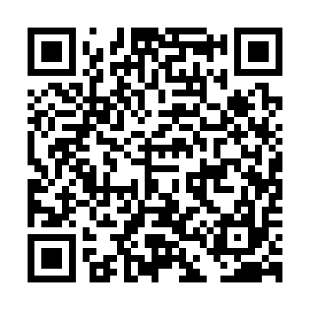 QR code for DD1317