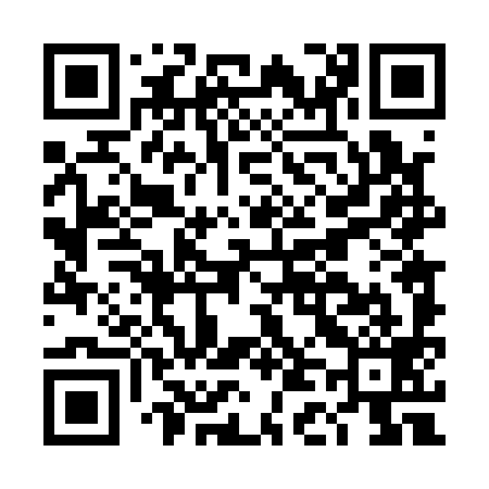 QR code for DD4199