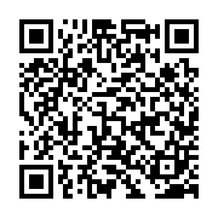 QR code for DD6303