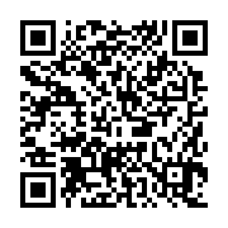 QR code for DE0384