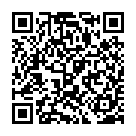 QR code for DE3295
