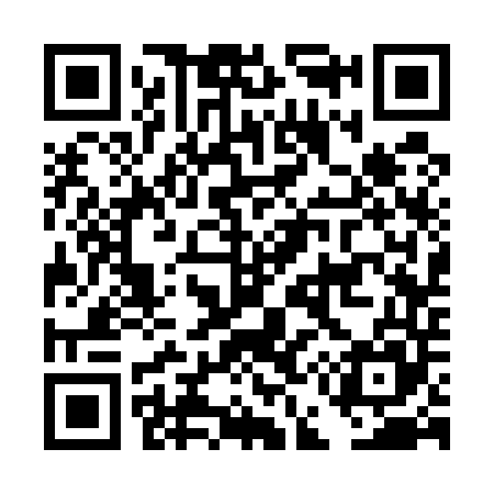 QR code for DE3545