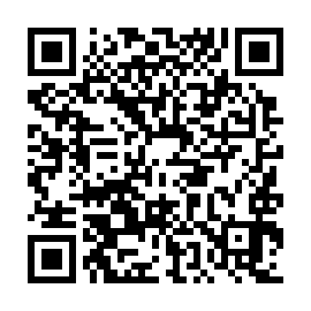 QR code for DE4393