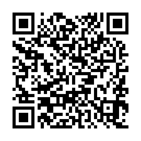 QR code for DE4991
