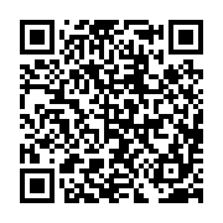 QR code for DG0294