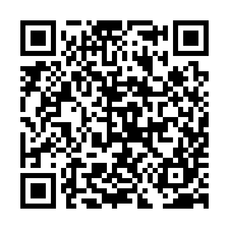 QR code for DG1384